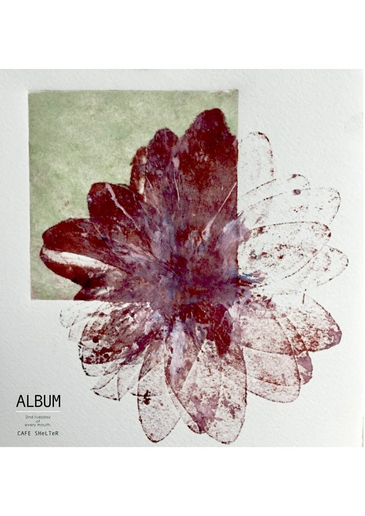 CAFE SHeLTeR “ALBUM” : 2026/01/13 Tue